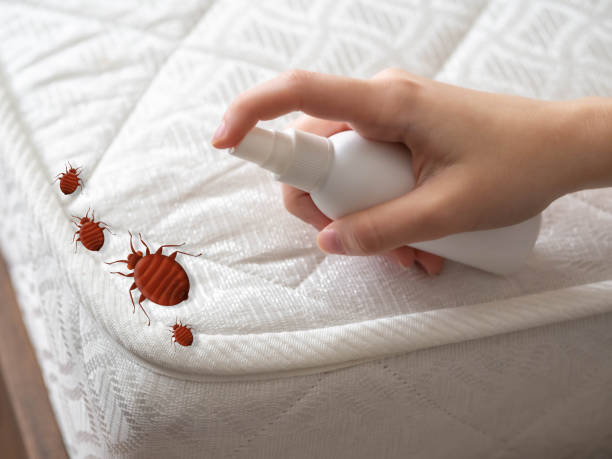 Emergency Pest Control in Port Arthur, TX